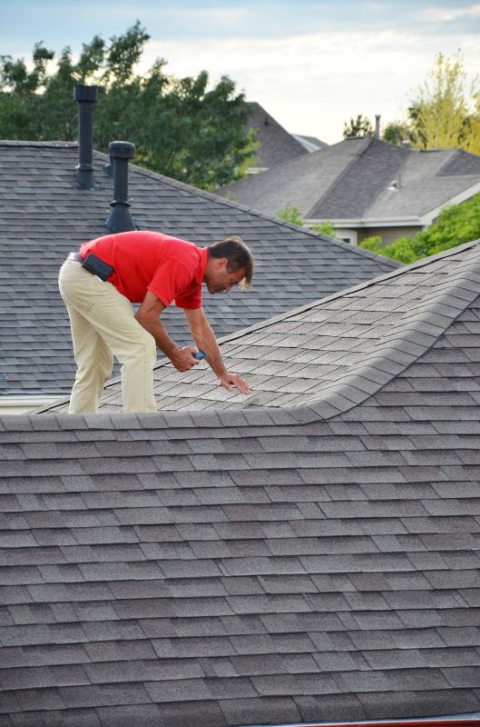 Overall Roof Inspection