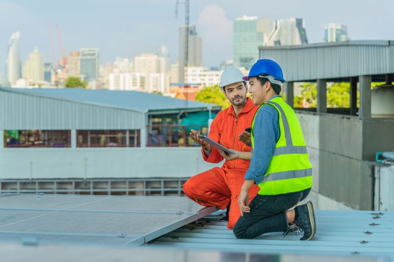 Professional Roofing Inspection